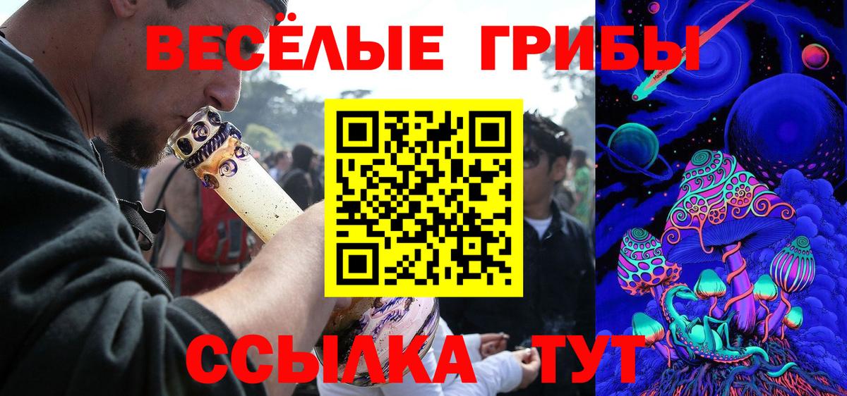 Бугуруслан  Галлюциногенные грибы ЛСД  Вход с VPN  Псилоцибиновые грибы ЛСД 